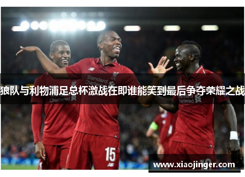 狼队与利物浦足总杯激战在即谁能笑到最后争夺荣耀之战