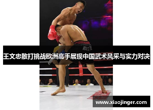 王文忠散打挑战欧洲高手展现中国武术风采与实力对决